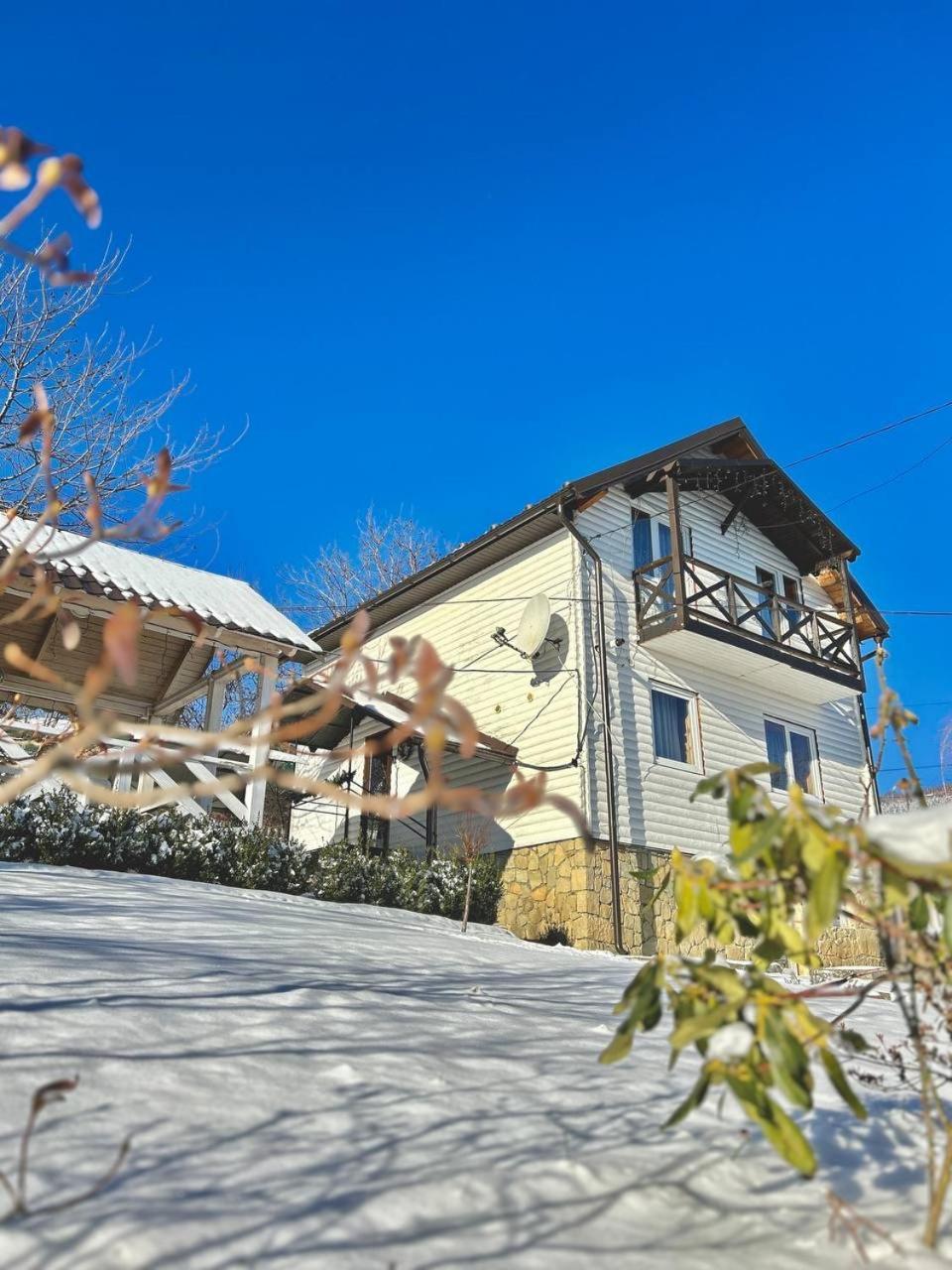 Вілла Carpathian Manor Яремче Екстер'єр фото